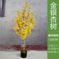 XU0612539